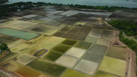Luftschwenkansicht-Von-Can-Gio-Salzfelder-Vietnam