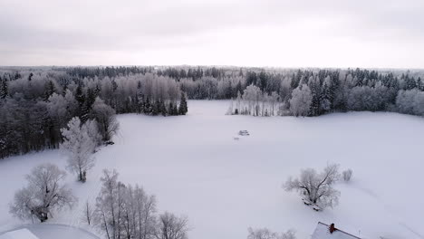 Winterwunderland-Mit-Einer-Hütte-Auf-Einer-Wiese-Im-Wald-Und-Frost-Auf-Den-Bäumen---Luftüberführung