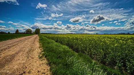 Cloudscape-over-rapeseed-farmland-alongside-a-rural-dirt-road---zoom-out-time-lapse-reveal