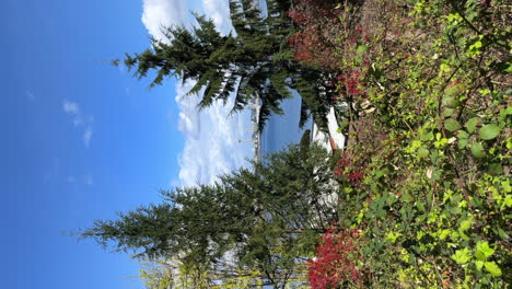 Blick-Auf-Die-Skyline-Von-Seattle-Durch-Ein-Paar-Bäume
