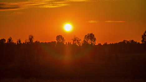 Timelapse-shot-of-sun-setting-in-timelapse-over-bright-red-sky-over-birch-trees-during-evening-time