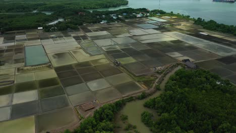 Aerial-panning-wide-view-of-Can-Gio-Salt-fields-Vietnam
