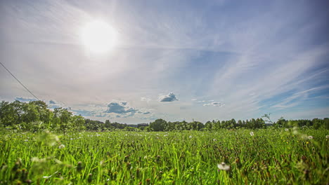 Low-angle-shot-of-white-cirrus-cloud-movement-in-timelapse-over-green-grasslands-during-evening-time