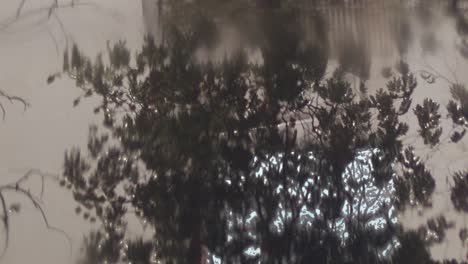 Close-up-shot-of-a-puddle-in-which-raindrops-fall-blurry-with-the-reflections-of-a-garden-wall-and-trees-razor-sharp