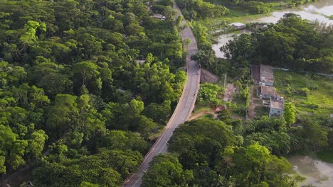 Aerial-view-of-Asphalt-road-Among-lush-vegetation-forest,-Wetlands-landscape