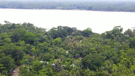 Drone-flyover-dense-tropical-landscape-towards-river,-Tranquil-Nature-scene
