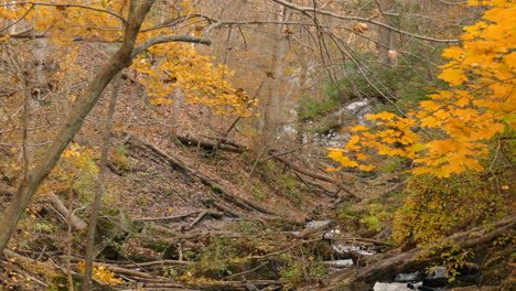 Stream-flowing-over-slippery-stones-in-the-middle-of-a-wooded-valley-on-a-cold-day-in-an-autumn-forest