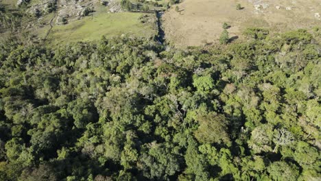 Forest-and-field-landscape,-Campos-Gerais-National-Park,-Brazil,-drone-view