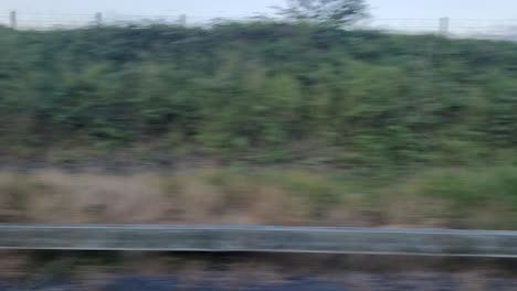Traveling-By-Irish-Rail-Train-Moving-Past-Green-Grassy-Rural-Landscape-In-Ireland