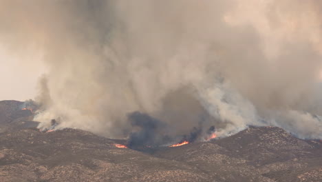 Eine-Feuerapokalypse-In-Einem-Bergwald-In-Hemet,-Kalifornien