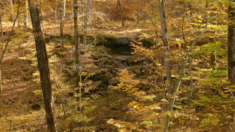 Kleiner-Teich-In-Einem-Laubwald,-Fallende-Gelbe-Blätter-Unter-Den-Strahlenden-Sonnenstrahlen-An-Einem-Schönen-Herbsttag