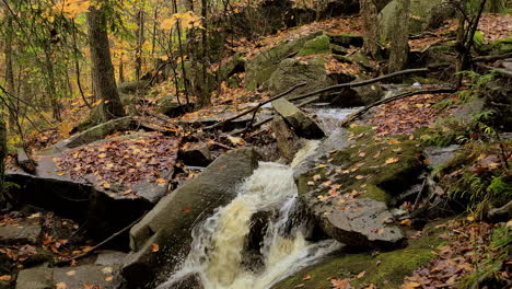 Flowing-stream-between-mossy-rocks-in-an-autumn-leafy-forest-on-a-cool,-calm-morning