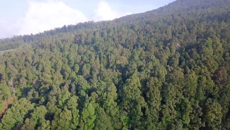 Forward-drone-video-dense-of-Tropical-rain-forest-trees-on-the-slope-of-mountain-with-slightly-foggy-weather