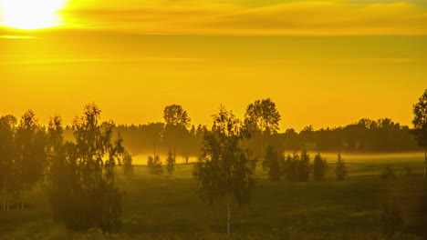 Beautiful-sunset-shot-over-grasslands-and-birch-trees-in-rural-landscape-during-evening-time-in-timelapse