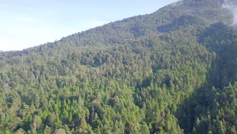 Imágenes-De-Drones-Deslizantes-Densas-De-árboles-De-La-Selva-Tropical-Con-Un-Clima-Ligeramente-Brumoso