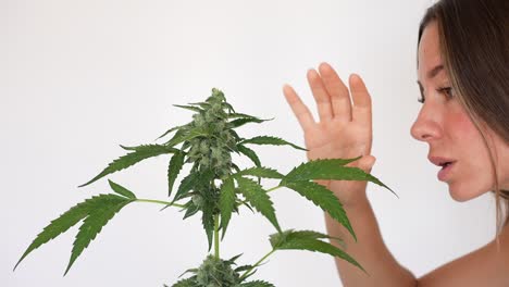 Schönes-Glückliches-Und-Lächelndes-Kaukasisches-Mädchen,-Das-Eine-Kleine-Cannabispflanze-Riecht-Und-Berührt
