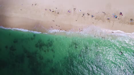 Aerial-Top-Down-Shot-Showing-the-Movement-of-Oahu-Beach-on-Hawaii-With-Translucent-Waters