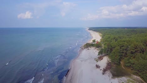 Aerial-birdseye-view-of-Baltic-sea-coast-on-a-sunny-day,-white-sand-seashore-dunes-damaged-by-waves,-pine-tree-forest,-coastal-erosion,-climate-changes,-wide-angle-drone-shot-moving-forward
