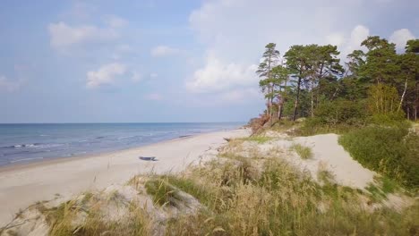 Revealing-aerial-view-of-Baltic-sea-coast-on-a-sunny-day,-white-sand-seashore-dunes-damaged-by-waves,-pine-tree-forest,-coastal-erosion,-climate-changes,-wide-angle-drone-shot-moving-forward