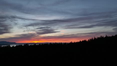 Aerial-shot-rising-above-the-tree-line-at-Sehome-Hill-Arboretum-to-reveal-the-sunset-over-Bellingham-Bay