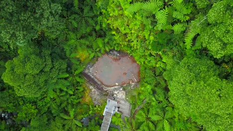 Aerial-bird-eye-rise-revealing-tropical-exotic-jungle-of-Caldeira-Velha-hot-springs