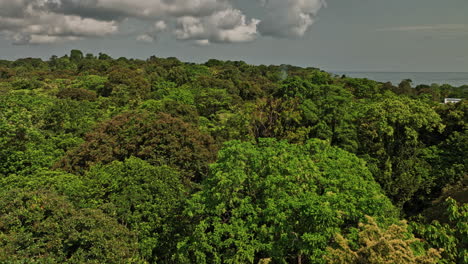 Bocas-del-Toro-Panama-Aerial-v12-cinematic-low-level-drone-flyover-tropical-rainforest-canopy-towards-sandy-bluff-beach-capturing-exotic-island-view---Shot-with-Mavic-3-Cine---April-2022