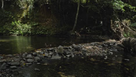 Tranquilidad-De-La-Naturaleza-Con-Un-Río-Rocoso-Que-Fluye-En-La-Selva-Tropical-De-Daintree,-Norte-De-Queensland,-Australia