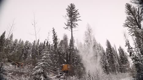 La-Máquina-De-Sierra-Manipuladora-De-Madera-Industrial-Derriba-Un-árbol-En-Una-Tormenta-De-Nieve