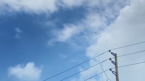 Statische-Tiefwinkelansicht-Von-Vögeln,-Die-Mit-Strommast-Gegen-Den-Blauen-Himmel-Fliegen