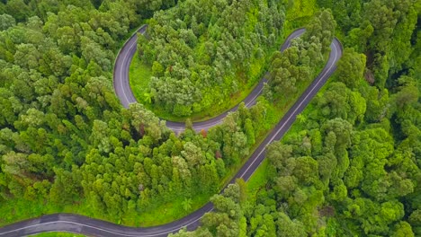 Aerial-view-of-a-car-driving-along-a-lonely-winding-road-through-subtropical-forest