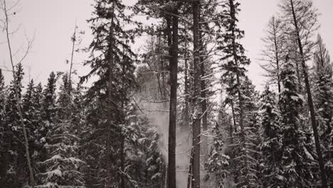 Tight-shot-industrial-timber-manipulator-saw-machine-takes-snow-covered-trees-down-in-snowstorm,-dramatic,-part-of-a-large-series