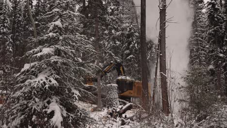 Industrial-timber-manipulator-saw-machine-takes-snow-covered-trees-down-in-snowstorm,-dramatic,-part-of-a-large-series-2