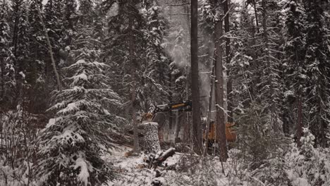 Tight-tracking-shot-industrial-timber-manipulator-saw-machine-takes-snow-covered-trees-down-in-snowstorm,-dramatic,-part-of-a-large-series