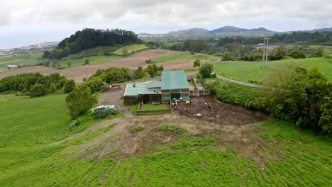 Sheet-metal-farm-shed-with-cow-pen-in-Azores-countryside,-aerial-zoom