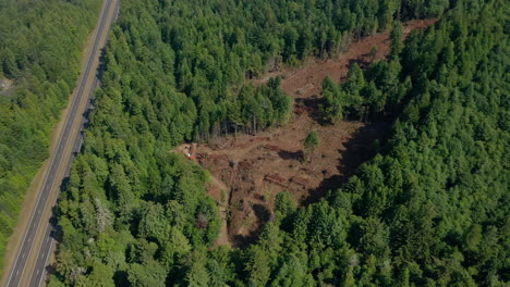 Redwood-forest-clearcutting-Aerial-shots-point-of-interest