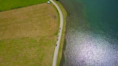 Epic-aerial-top-down-view-of-five-people-on-horse-riding-along-a-path-on-shores-of-lake-on-sunny-day