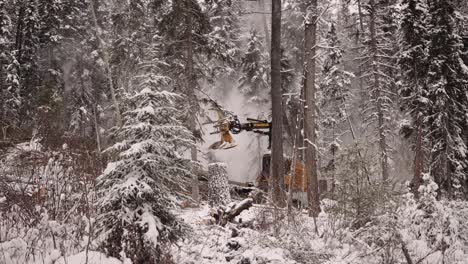 Industrial-timber-manipulator-saw-machine-takes-snow-covered-trees-down-in-snowstorm,-dramatic,-part-of-a-large-series-1