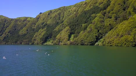 Drone-flight-over-the-surface-water-of-the-lake-while-several-seagulls-fly-overhead-in-Sete-Cidades,-Portugal