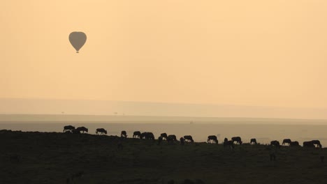 Silhouette-of-a-hot-air-balloon-hovering-in-the-golden-light-of-dawn-over-a-herd-of-grazing-wildebeest-in-the-Masai-Mara,-Kenya