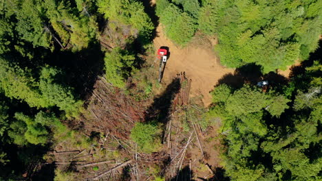 Clearcut-of-redwood-trees-with-timber-loading-from-above