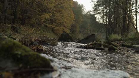 Low-angle-pan-shot-of-natural-stream-flowing-downhill-in-forest-during-autumn-season