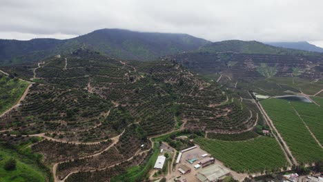 Luftbild-über-Felder-Und-Plantagen-In-Pomaire,-Chile---Drohnenaufnahme