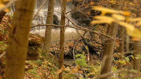 Blick-Auf-Den-Wasserfall-Durch-Herbstliche-Waldzweige-Mit-Herunterfallenden-Orangefarbenen-Blättern