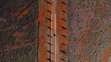 Aerial-top-down-of-car-driving-through-tree-lane-in-remote-countryside---rural-landscape-with-sparse-vegetation-and-red-dirt-in-Lanai,-Hawaii