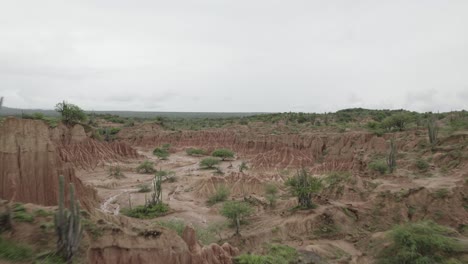 Flying-Over-The-Tatacoa-Desert-With-Cacti-In-Colombia