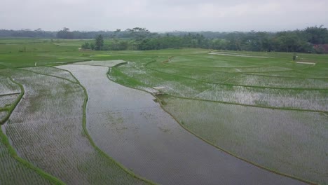 Luftbahnaufnahme-Einer-Hütte,-Umgeben-Von-überfluteten-Reisfeldern-In-Indonesien-Während-Eines-Bewölkten-Tages