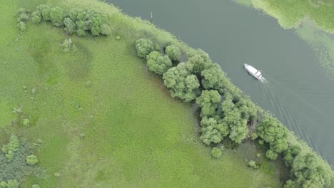Boat-on-Lake-Skadar-sailing-by-green-lilypads-and-moss-covering-the-water,-aerial-view-of-Montenegro