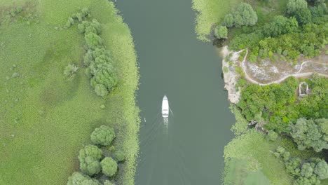 Barco-En-El-Lago-Skadar-Navegando-Entre-Lillipads-Verdes-Y-Musgo-Montenegro,-Drone