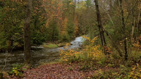 Generische-Natürliche-Anziehungskraft-Des-Herbstwaldes-Und-Des-Flussflusses-Im-Kanadischen-Wald