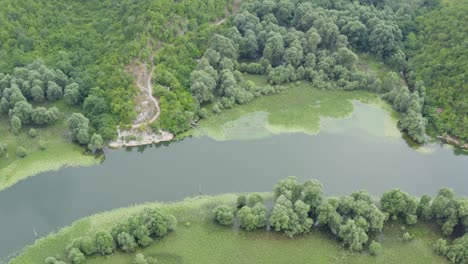 Drone-flying-over-Lake-Skadar-covered-in-green-moss-and-nature,-boat-cruising
